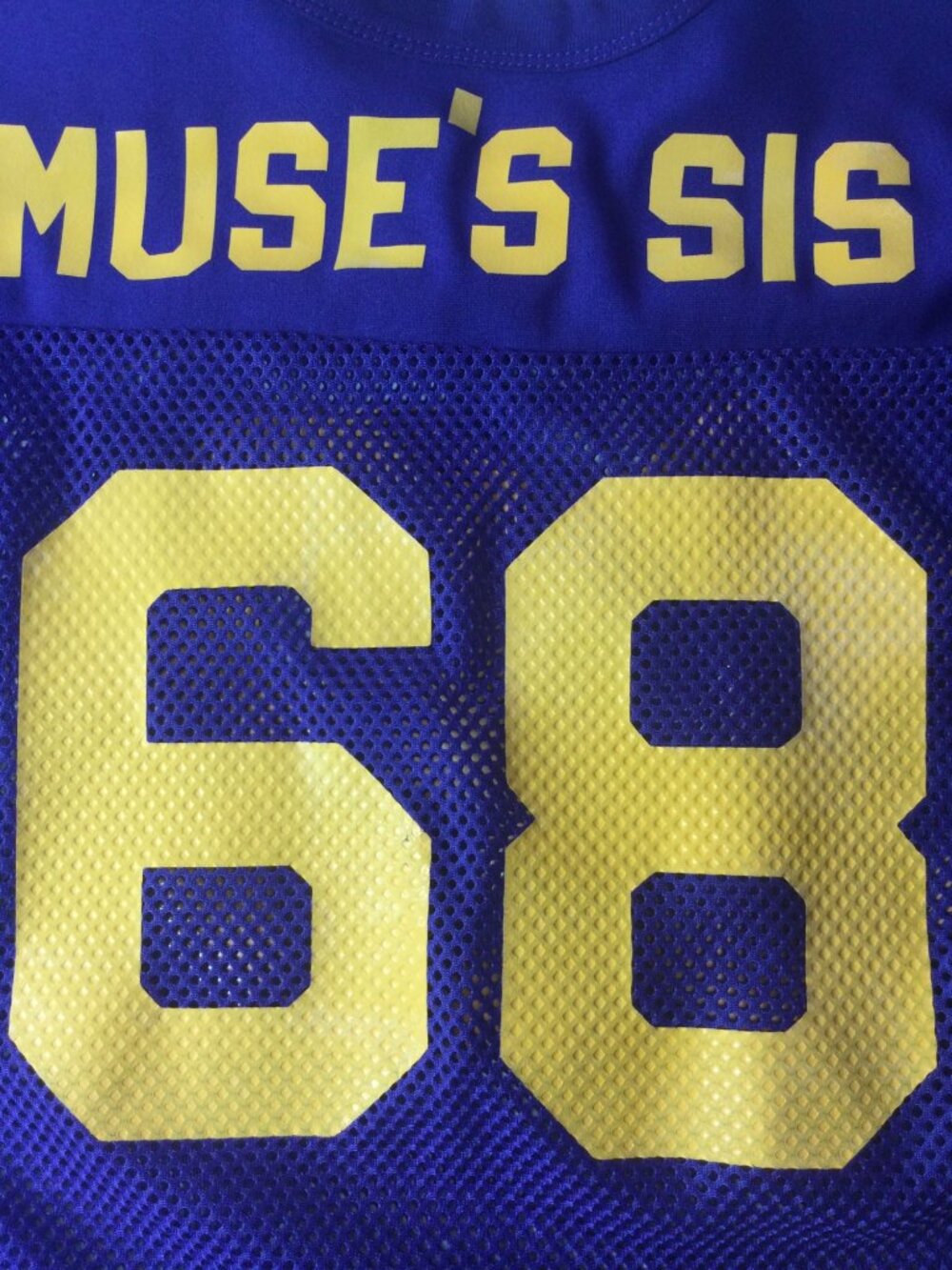 LSU Mesh Football Jersey*Crop Top*Shirt*Muse’s Sis*68*Youth XL*Purple*EUC